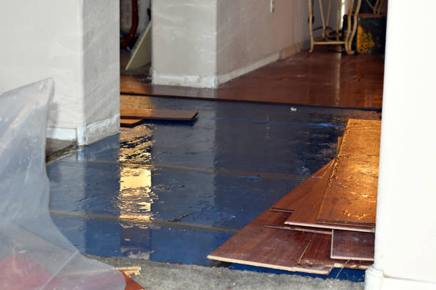 Professional Sewage Cleanup technician working in Urbana, IL